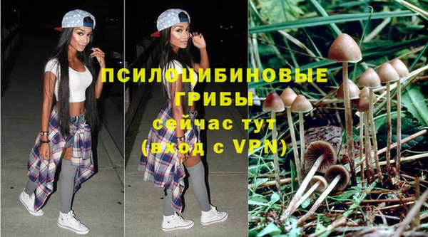 каннабис Гусиноозёрск