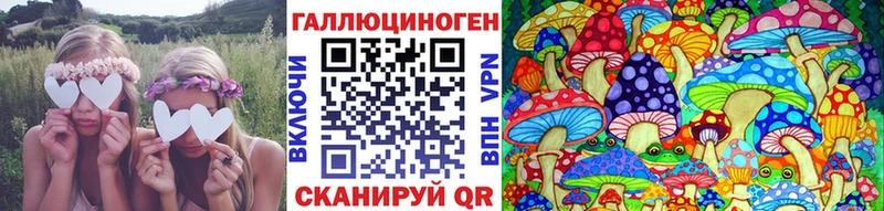 Псилоцибиновые грибы Magic Shrooms Купить Кондрово